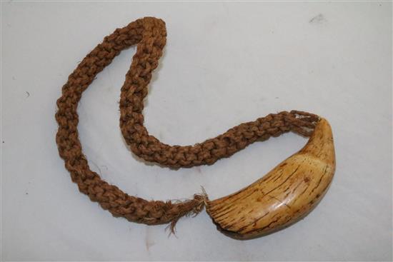 An antique Polynesian whales tooth Tabua necklace